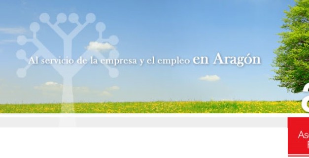 AEFA celebra su 20 aniversario